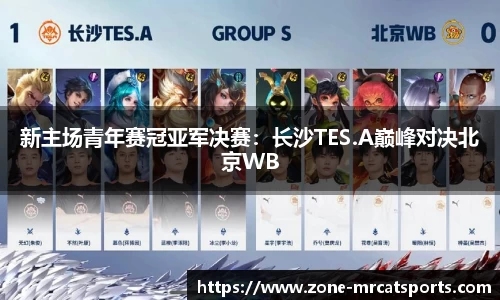 新主场青年赛冠亚军决赛：长沙TES.A巅峰对决北京WB